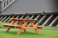 Turdus philomelos clarkei