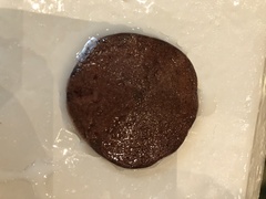 Echinarachnius parma