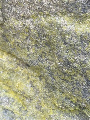 Flavoplaca