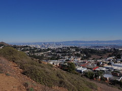 Lecideales