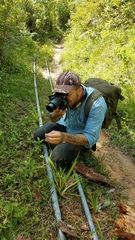 Echeandia parviflora