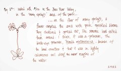 Primula mistassinica