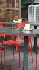 Acridotheres javanicus