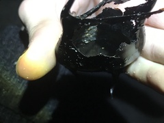 Rostroraja eglanteria