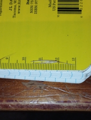 Rytidosperma tenuius