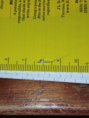 Rytidosperma tenuius