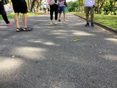 Trimeresurus albolabris