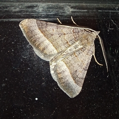 Pandesma