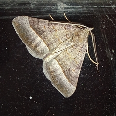 Pandesma