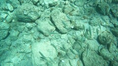 Mulloidichthys flavolineatus