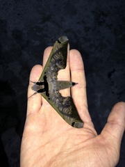 Adhemarius sexoculata