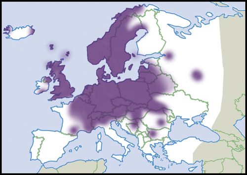 Taškuotoji arianta nuotrauka