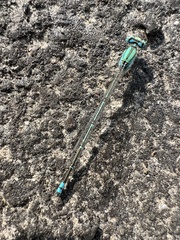 Pseudagrion decorum