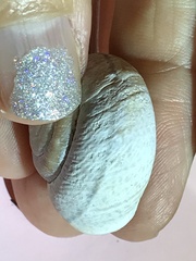 Helminthoglypta