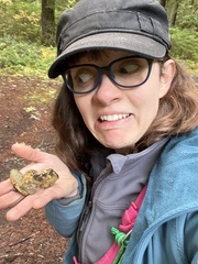 Truncocolumella citrina