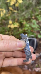 Leucophleps spinispora