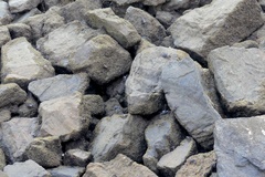 Parasesarma erythodactylum