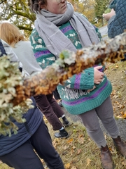 Melanelixia subaurifera