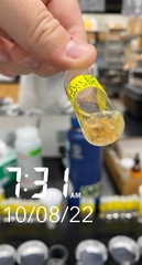 Alpheus heterochaelis