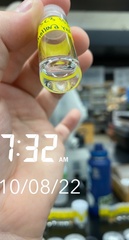 Marshallora nigrocincta