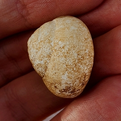 Sphincterochila