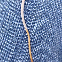 Macrotyphula fistulosa