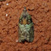 Raspberry Leafroller Moth - Photo (c) Diane P. Brooks, some rights reserved (CC BY-NC-SA), uploaded by Diane P. Brooks