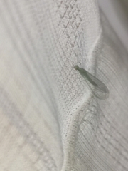 Pseudomallada subcostalis