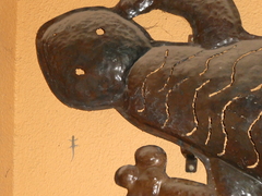 Lygodactylus chobiensis