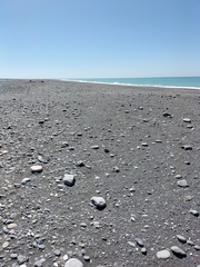 Charadrius bicinctus bicinctus