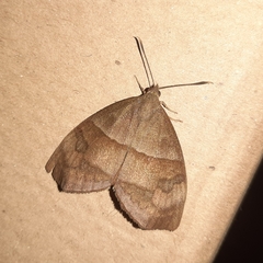 Ceretes marcelserres