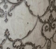 Ornithomya avicularia