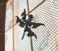 Palpopleura portia