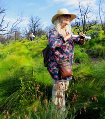 Thamnochortus glaber