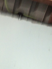 Philothamnus punctatus