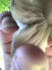 Fungi