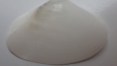 Tellinoidea