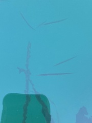 Aulorhynchus flavidus