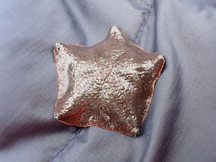 Patiriella regularis