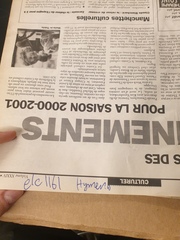 Carex debilis debilis