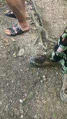 Nyctinomops laticaudatus