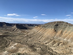 Aphyllon fasciculatum