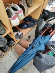 Apodemus flavicollis