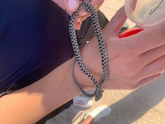 Hemorrhois hippocrepis