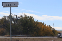Populus deltoides monilifera