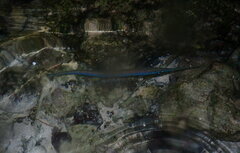 Fistularia commersonii