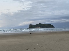 Sterna striata striata