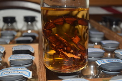 Androctonus crassicauda