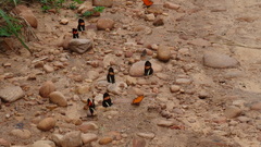 Eueides aliphera aliphera