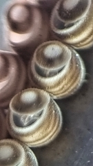 Agaeus
